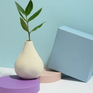 Coupole avec plante verte de décoration – Image 2