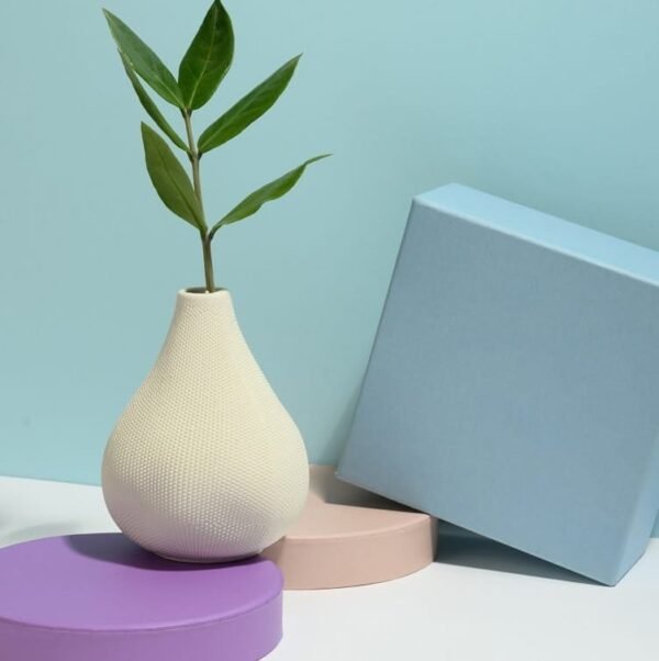 Coupole avec plante verte de décoration