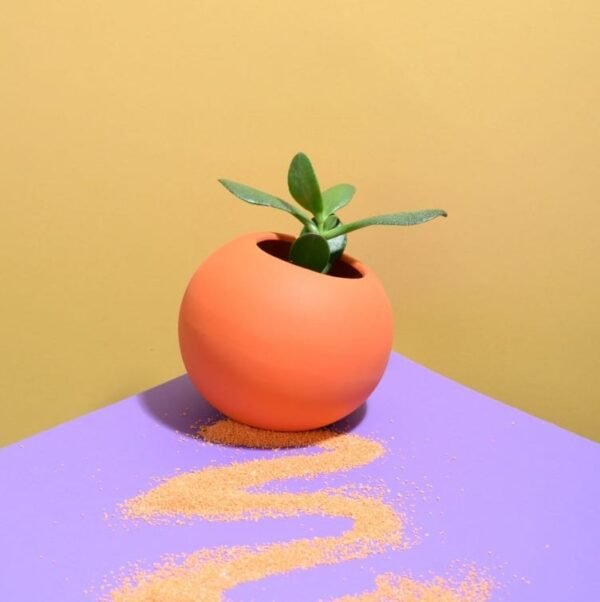 Coupole avec plante verte de décoration