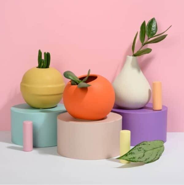 Coupole avec plante verte de décoration